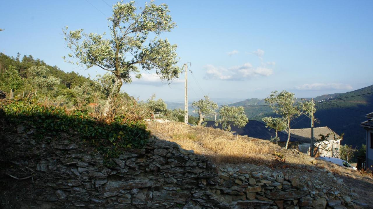 فيلا "Casa Do Avo Armindo" Mountain Experience فيلا ريال المظهر الخارجي الصورة
